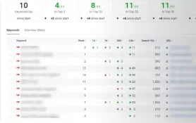 estatísticas do tiktok